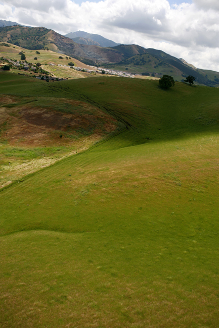 -eastbay_hills_2279