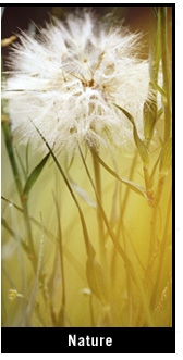 nature photography